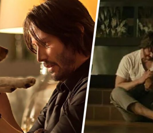 2 cún con xấu số của John Wick hiện ra sao